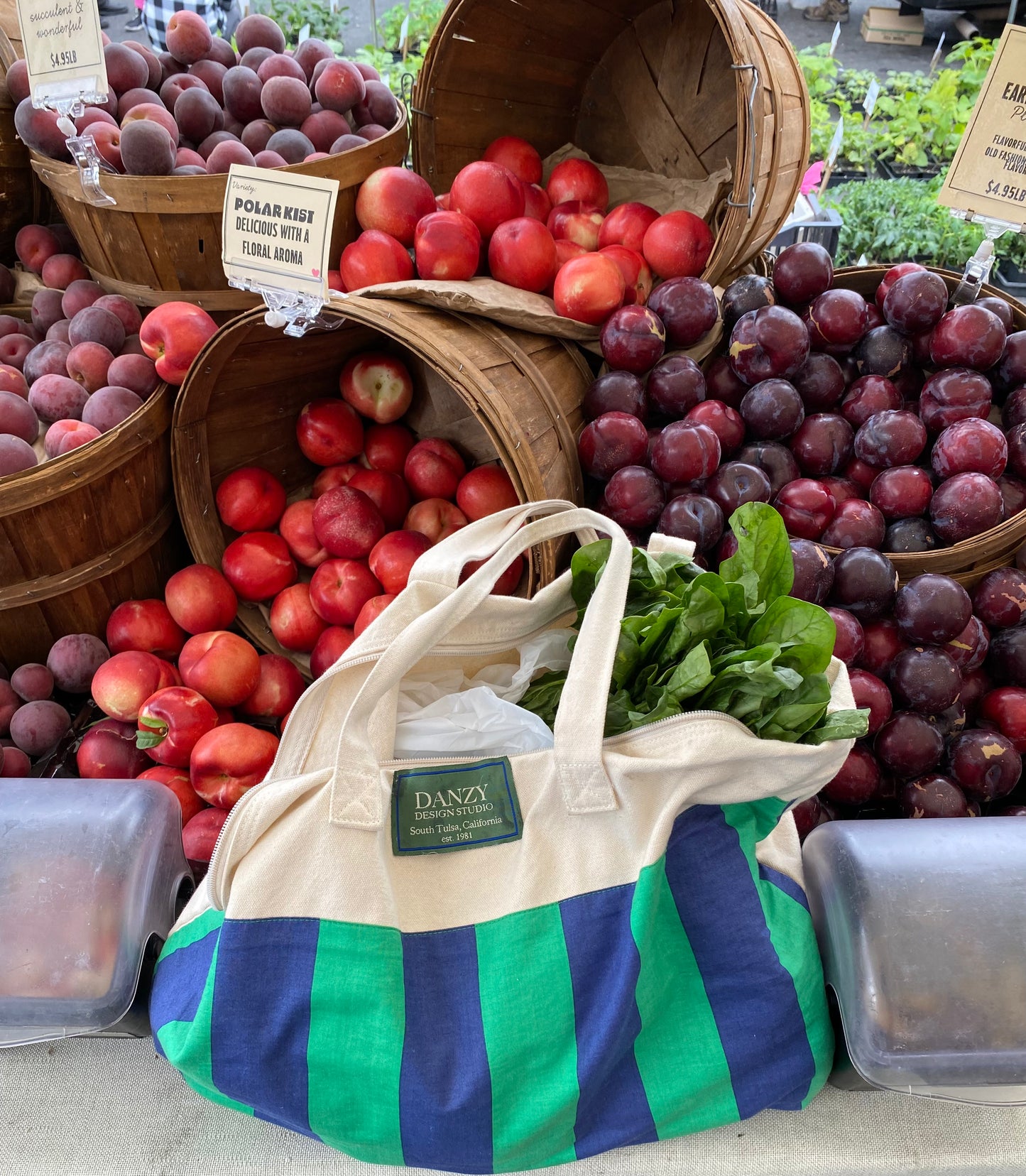Danzy Farmers Market Tote